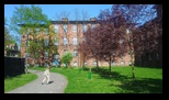 Nikiszowiec -22-04-2025 - Bogdan Balaban